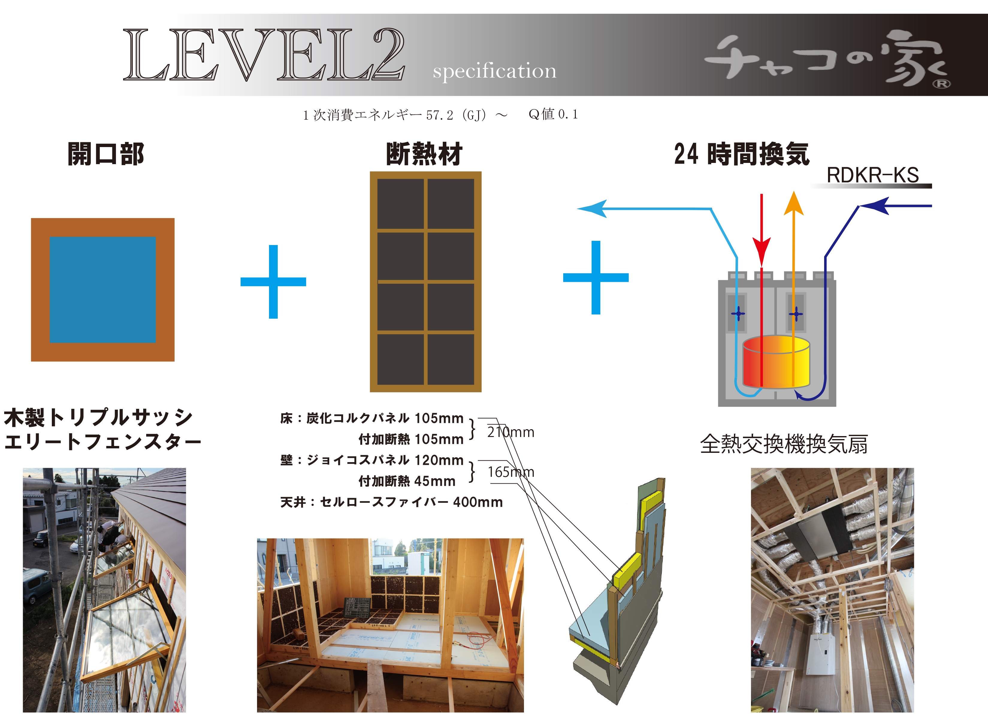 チャコの家②
